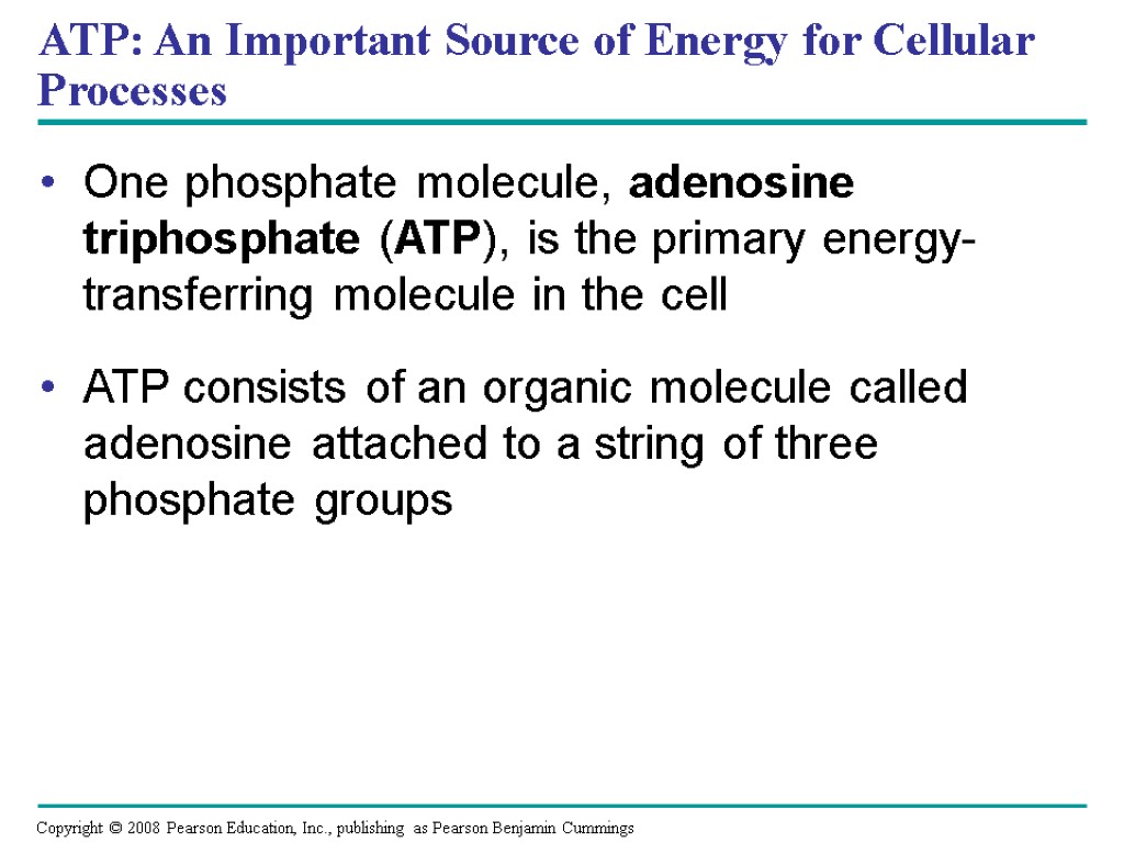 ATP: An Important Source of Energy for Cellular Processes One phosphate molecule, adenosine triphosphate